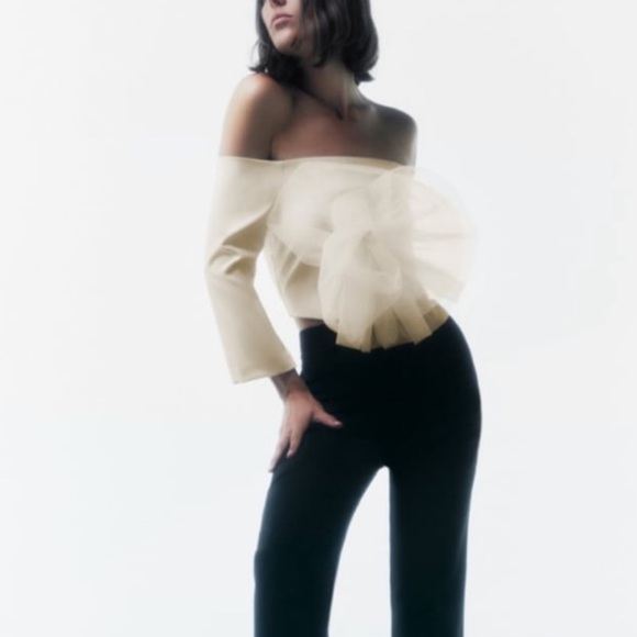 Zara Cropped Floral Tulle Cream Top NWT - Picture 2 of 12